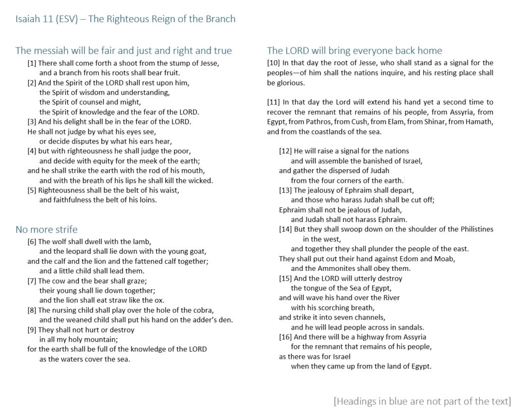Isaiah 11 – The Shoot from Jesse – Bible Thought of the Day